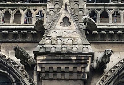 Notre Dame Gargoyles